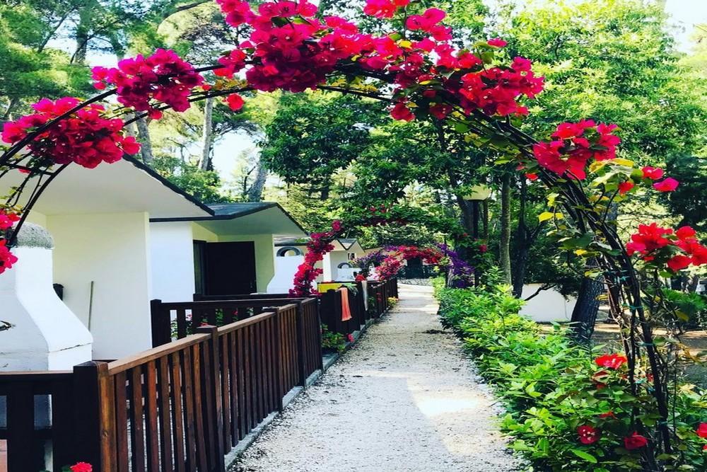 Camping Village Internazionale